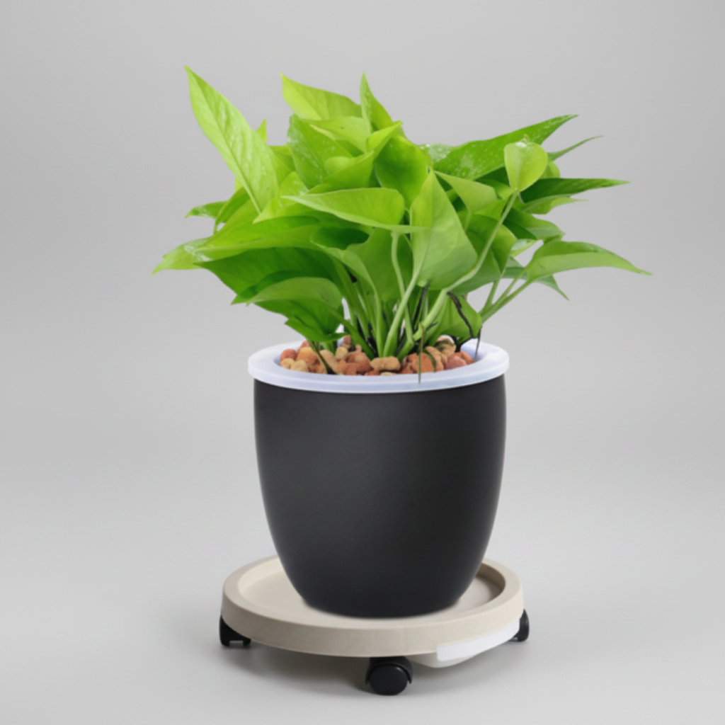 Soporte Con Ruedas Para Maceta Planta Con Orificio De Agua