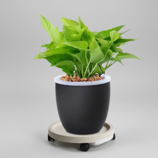Soporte Con Ruedas Para Maceta Planta Con Orificio De Agua