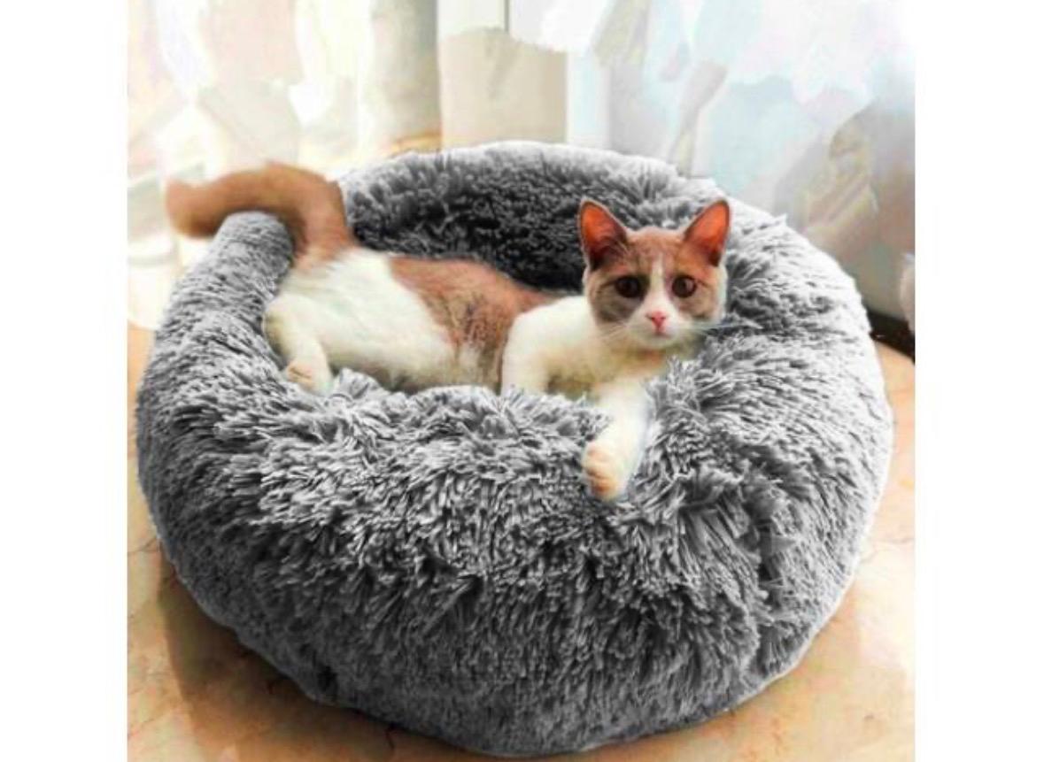 Cama Grande Para Mascotas Perro Y Gato Lavable 60cm